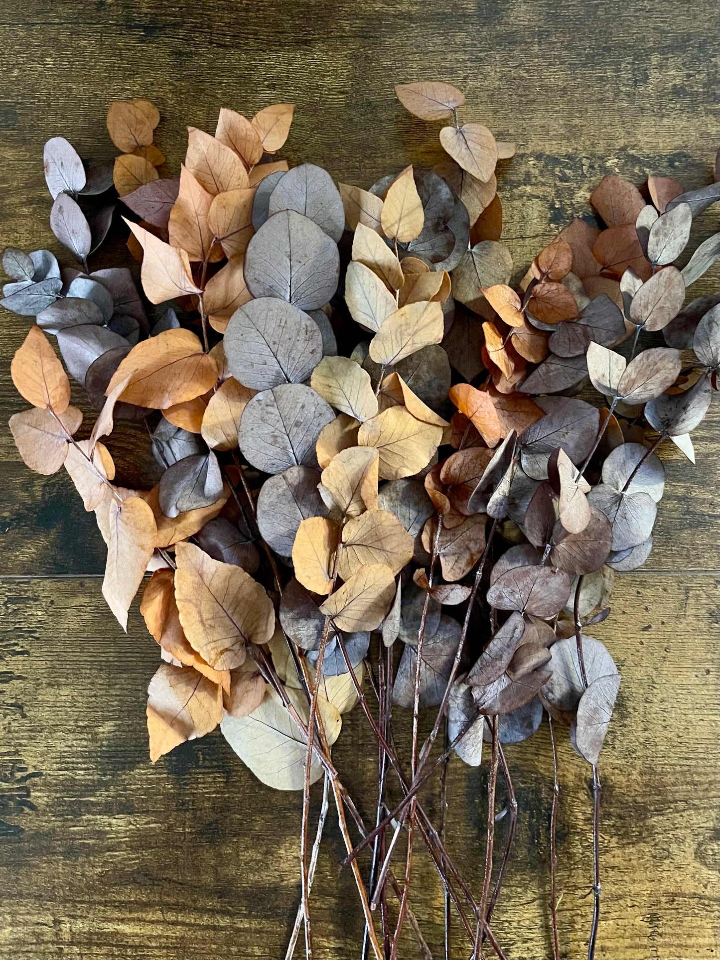 Eukalyptus S - Herbst - Mix